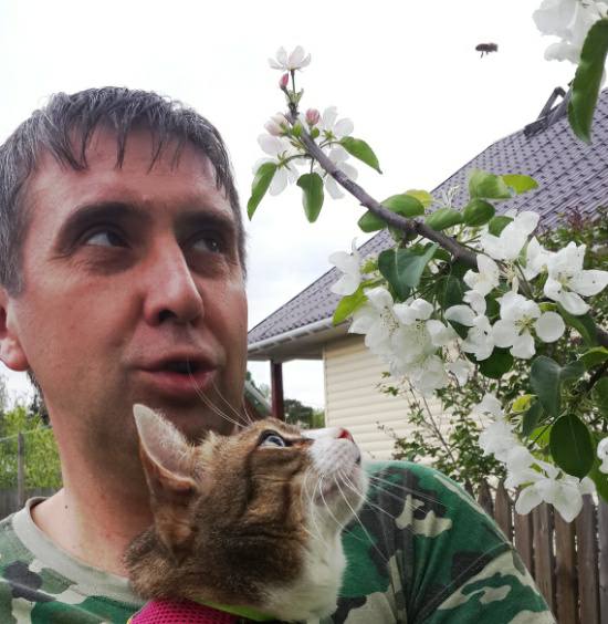 Сергей Демченков с котом Тимофеем наблюдают пчелу