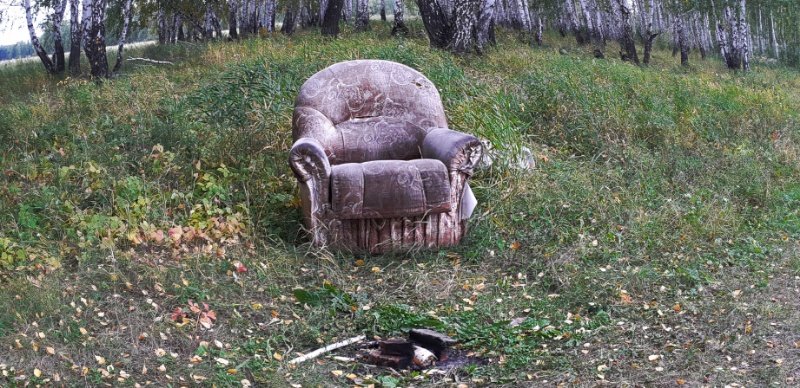 Старое кресло в лесу